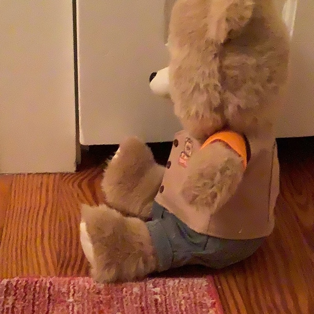 Teddy Ruxpin - Picture 3 of 3